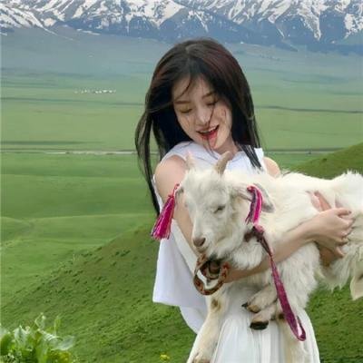 汪汪队立大功大电影